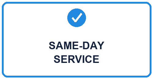Same-day pest control service in Dallas