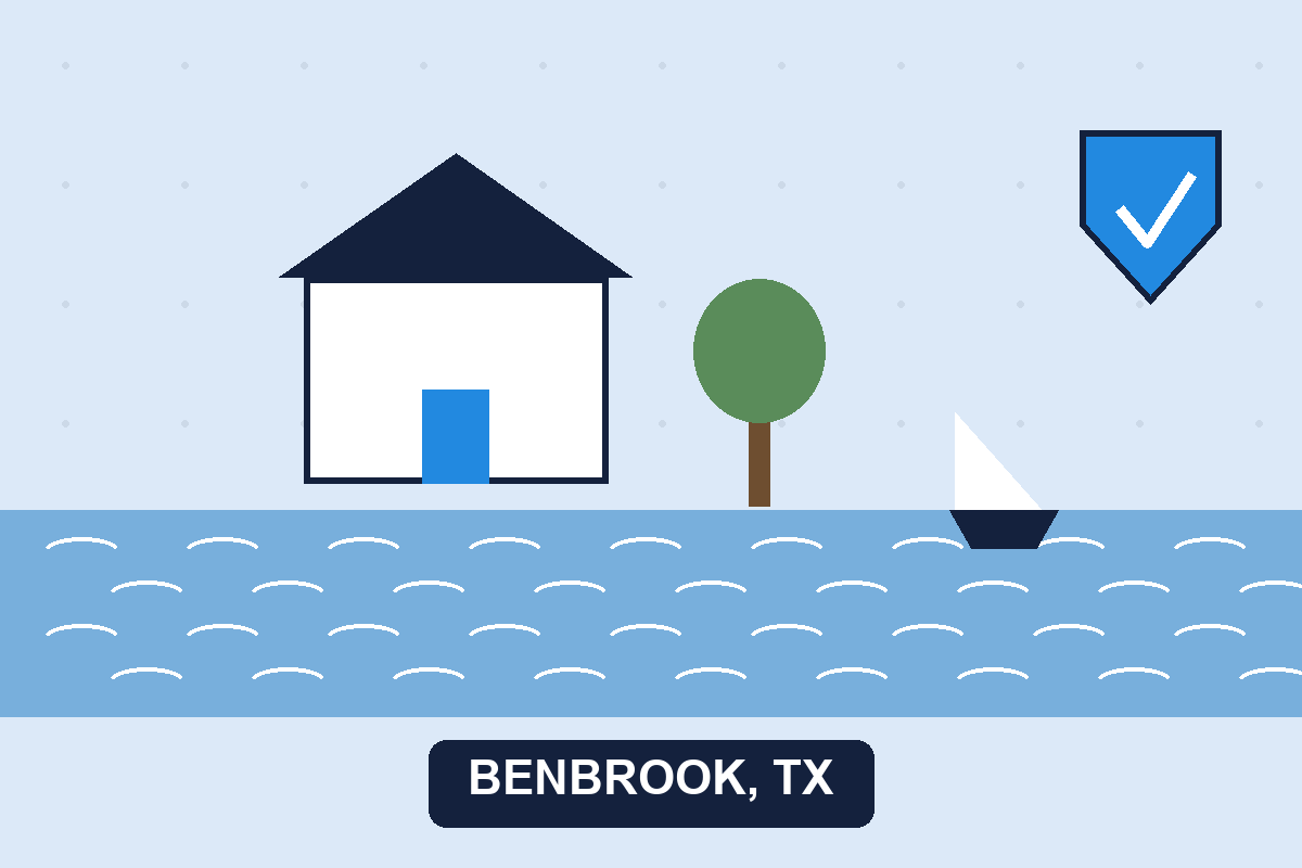 Pest control Benbrook TX illustration