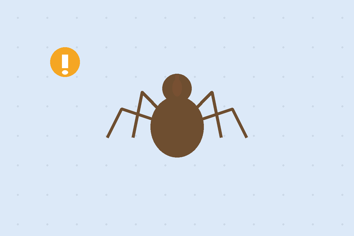 Brown recluse pest control illustration showing the violin marking on the spider