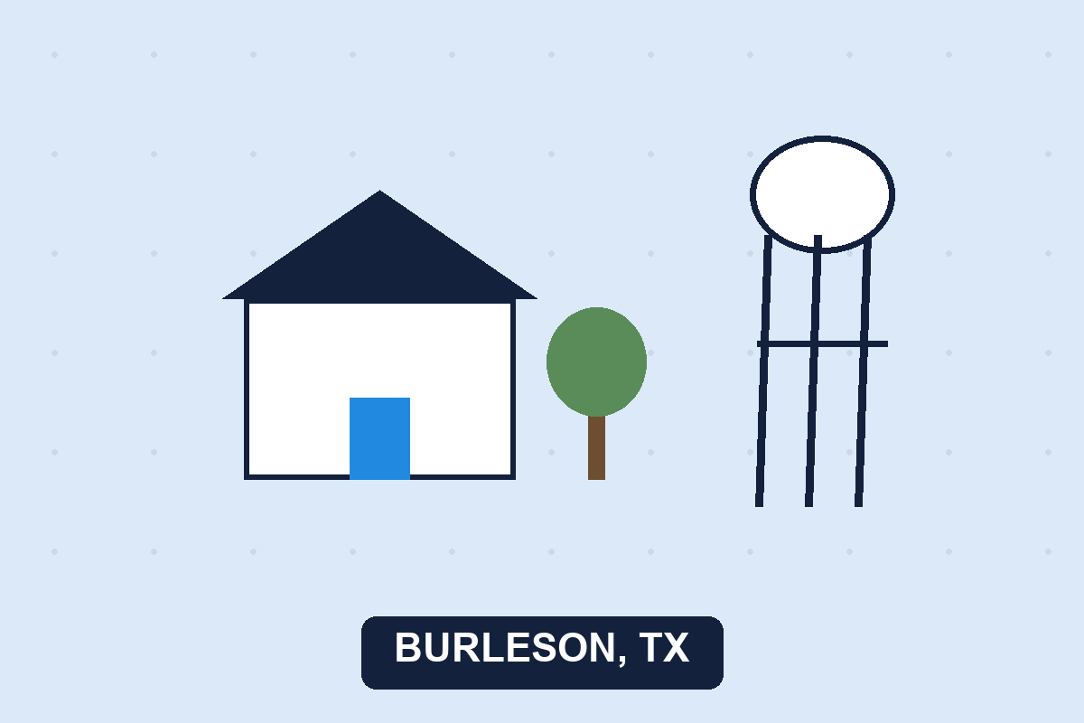 Pest control Burleson TX illustration