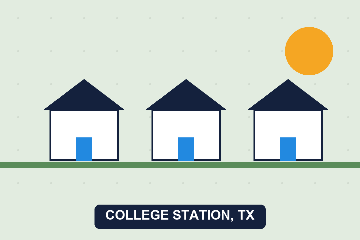 Pest control College Station TX illustration