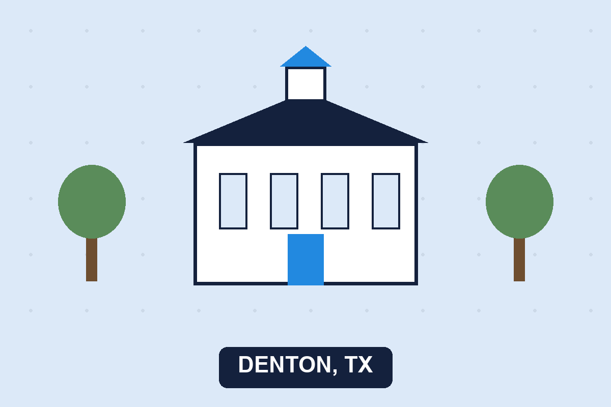 Pest control Denton TX illustration
