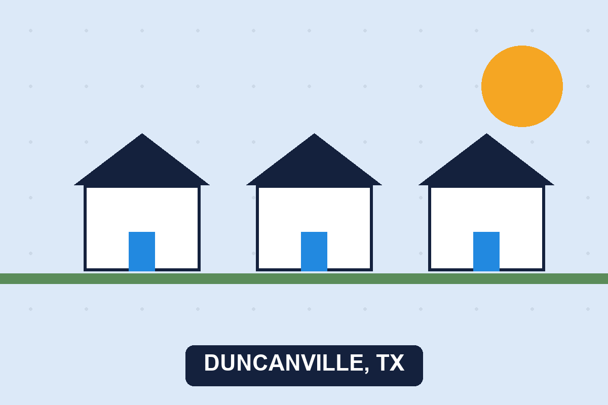 Pest control Duncanville TX illustration