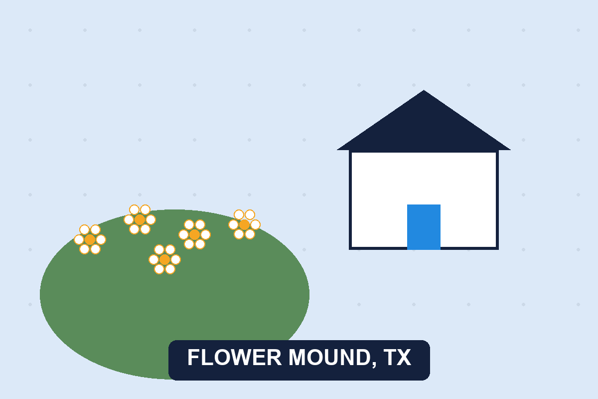 Pest control Flower Mound TX illustration