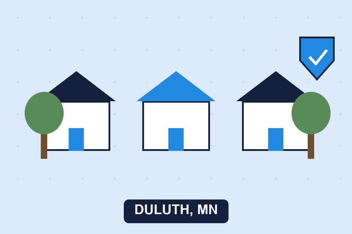 Pest control Duluth MN illustration
