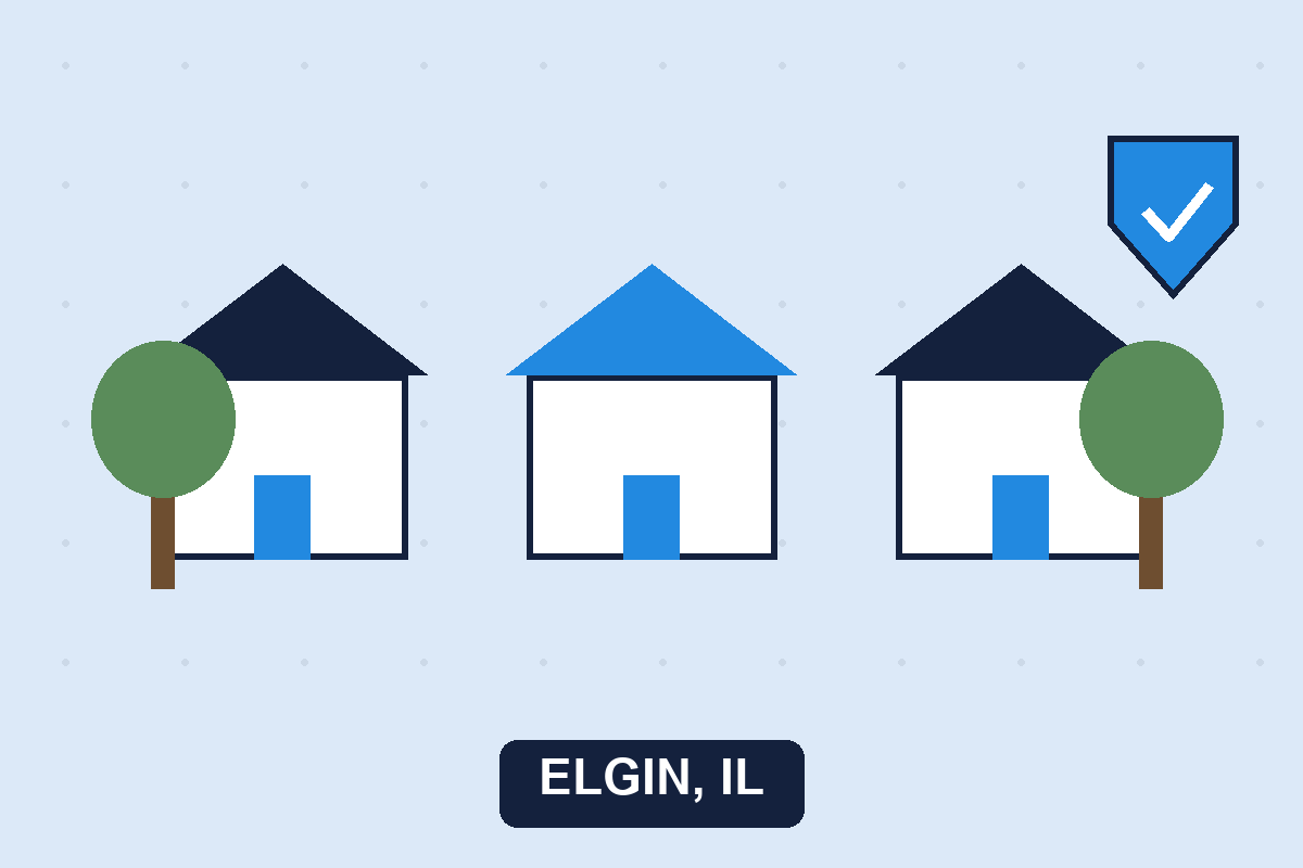 Pest control Elgin IL illustration