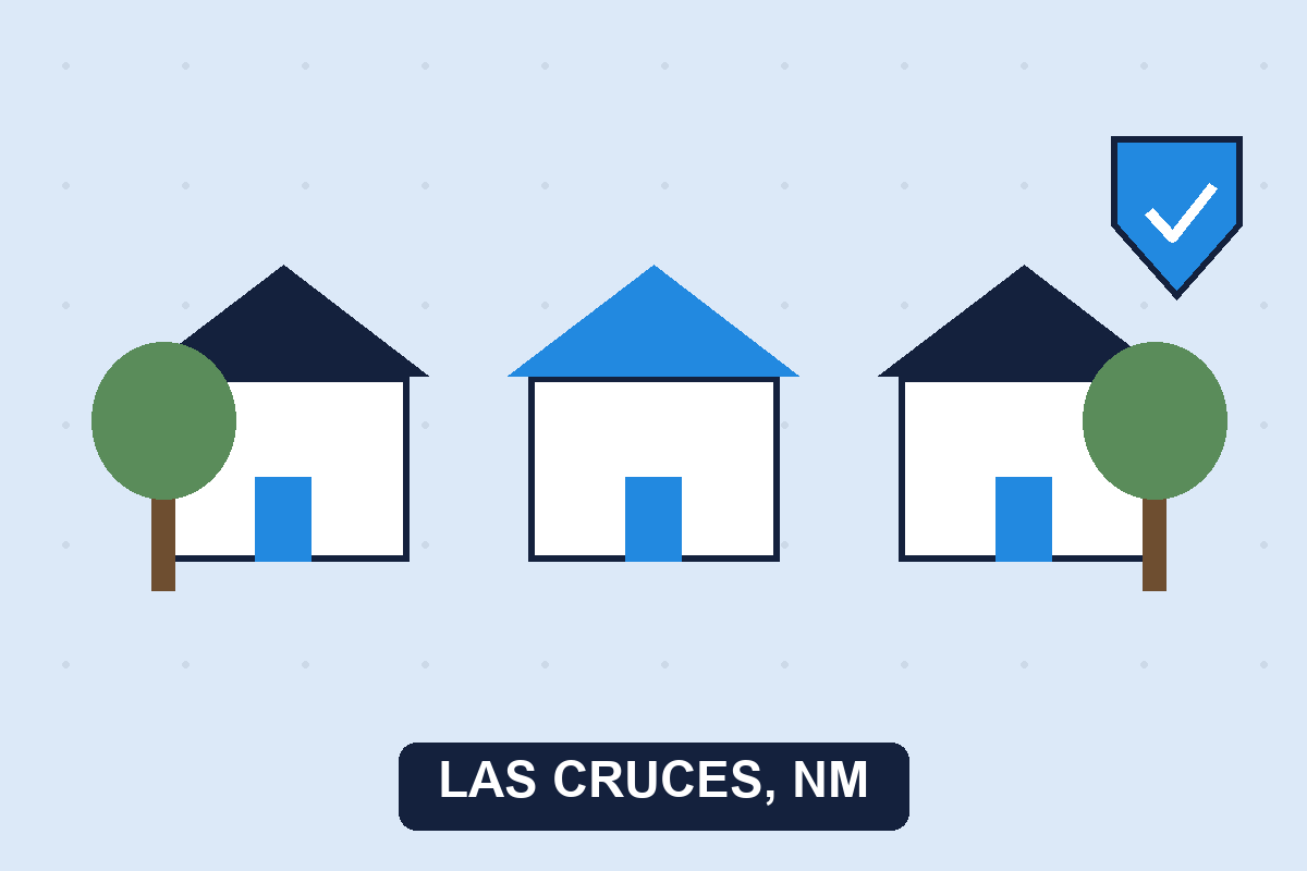 Pest control Las Cruces NM illustration