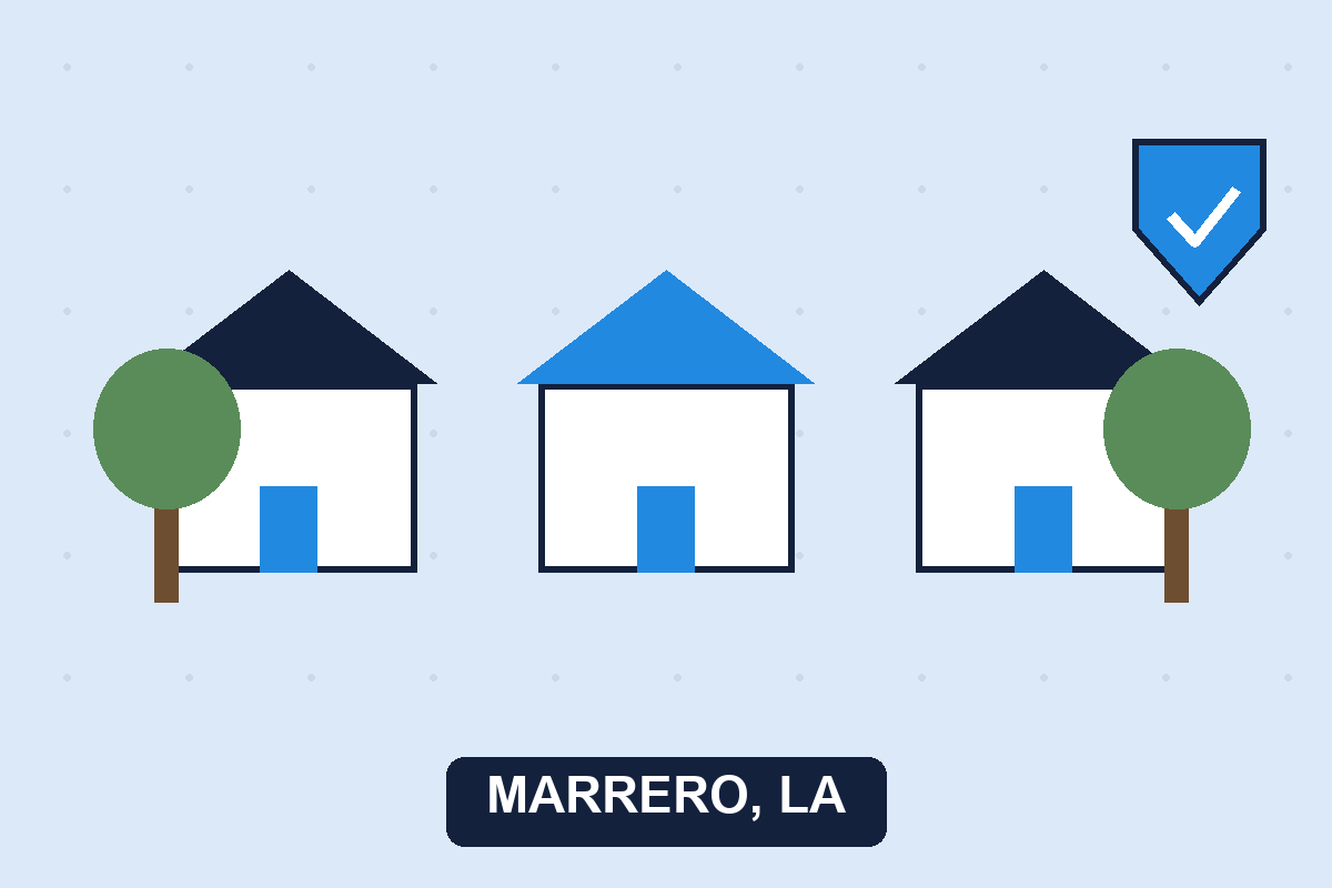 Pest control Marrero LA illustration
