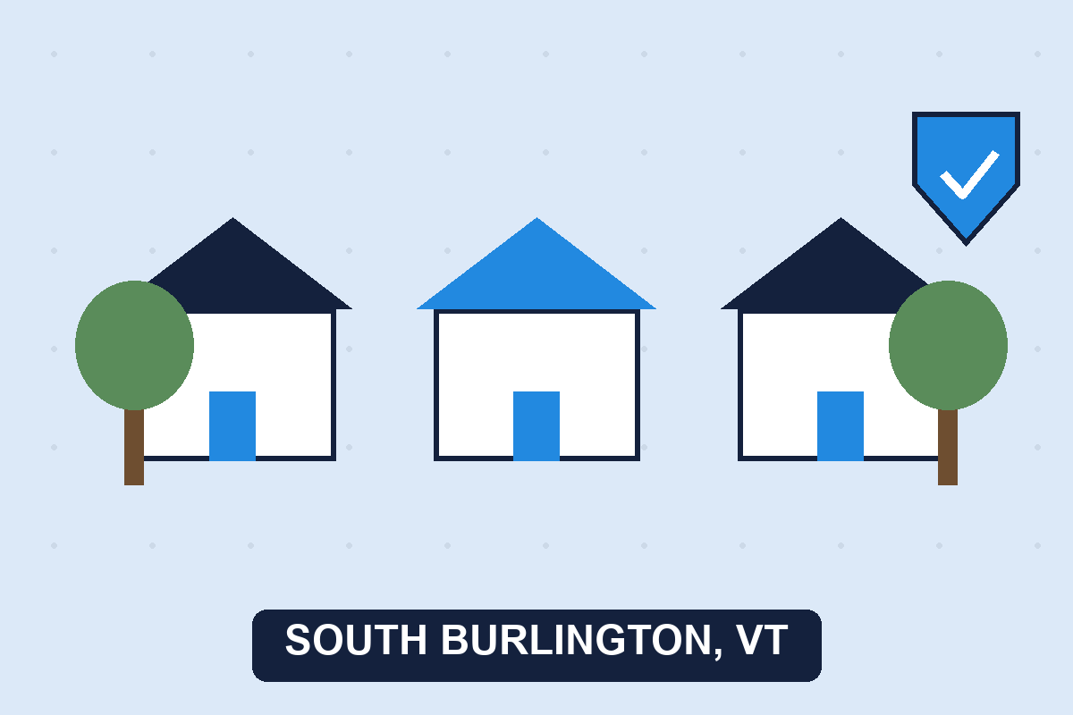 Pest control South Burlington VT illustration