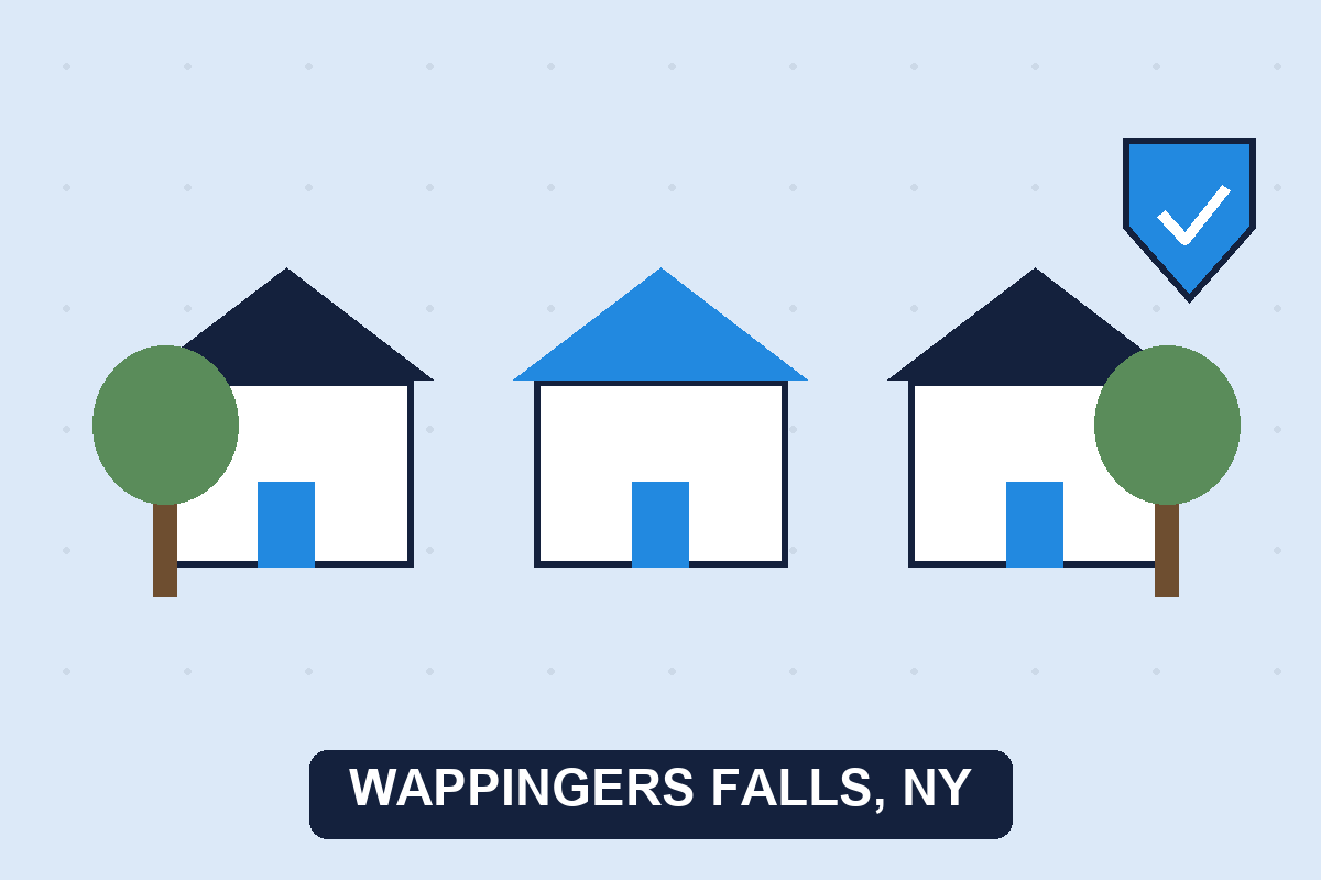 Pest control Wappingers Falls NY illustration
