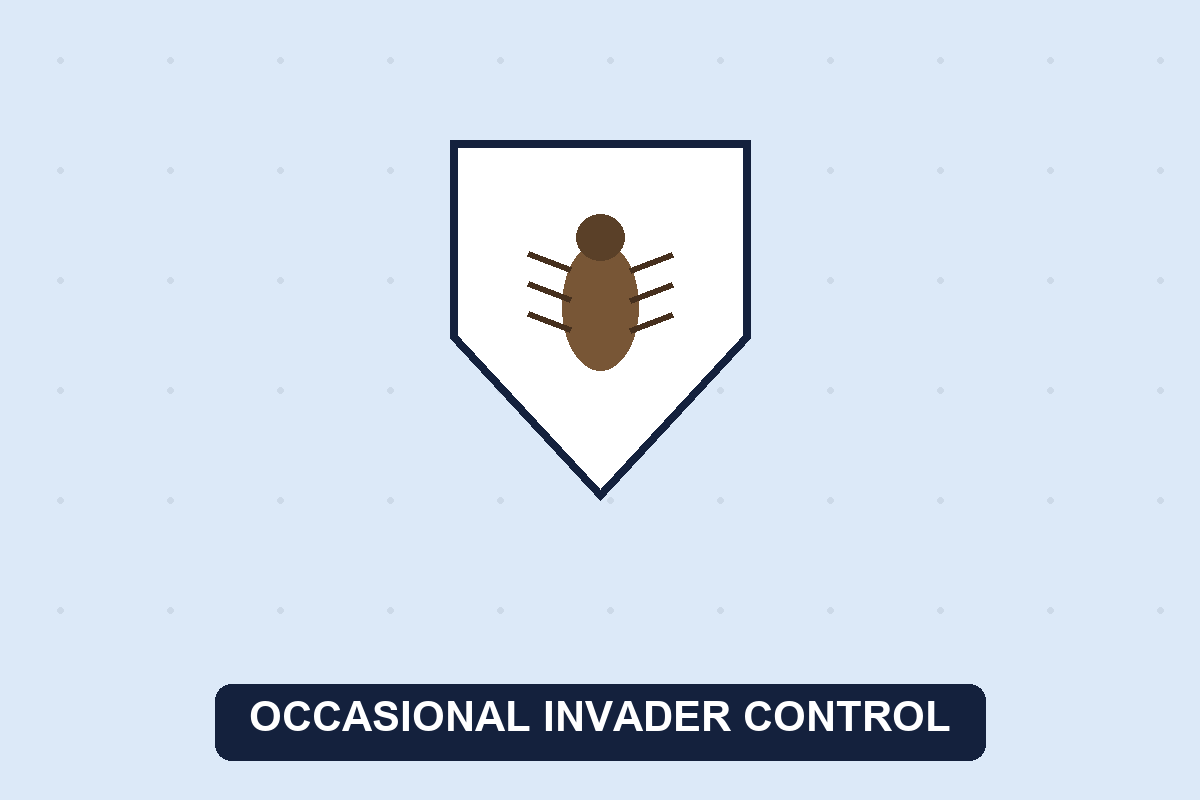 occasional invaders illustration