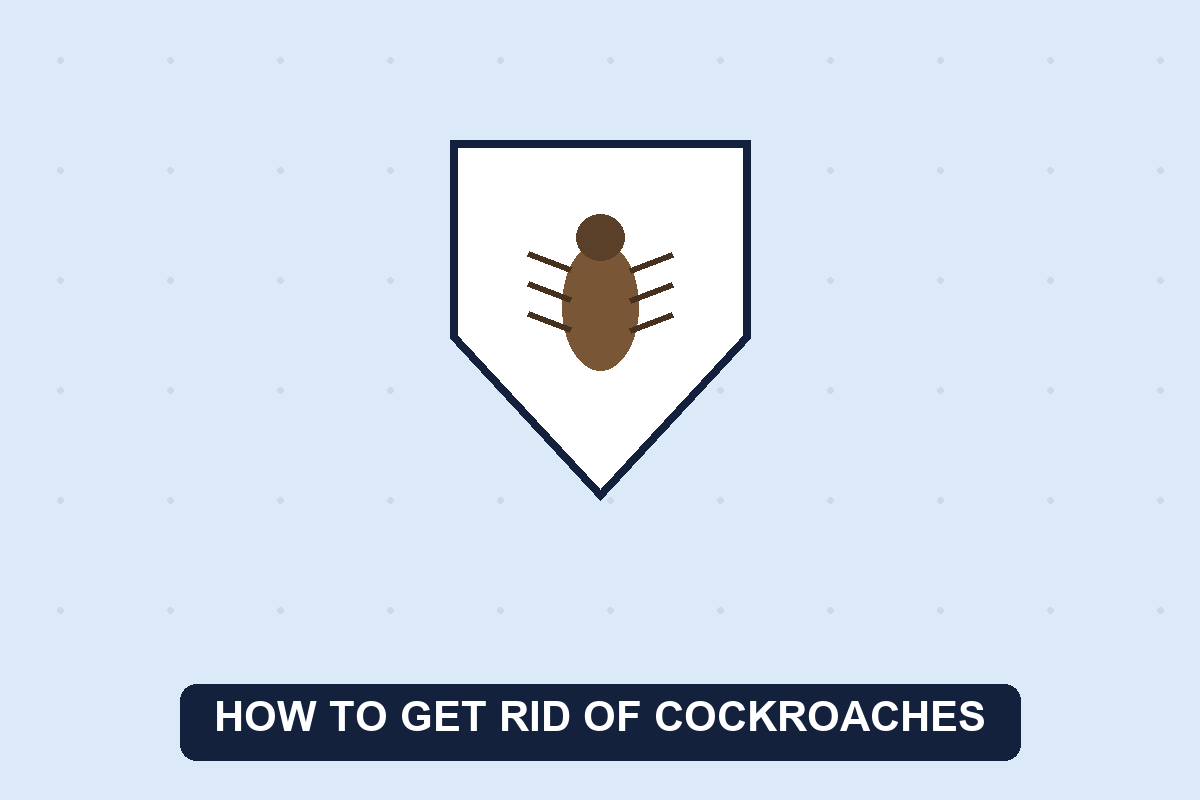 how to get rid of cockroaches guide illustration
