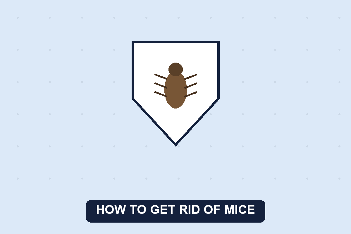 how to get rid of mice guide illustration
