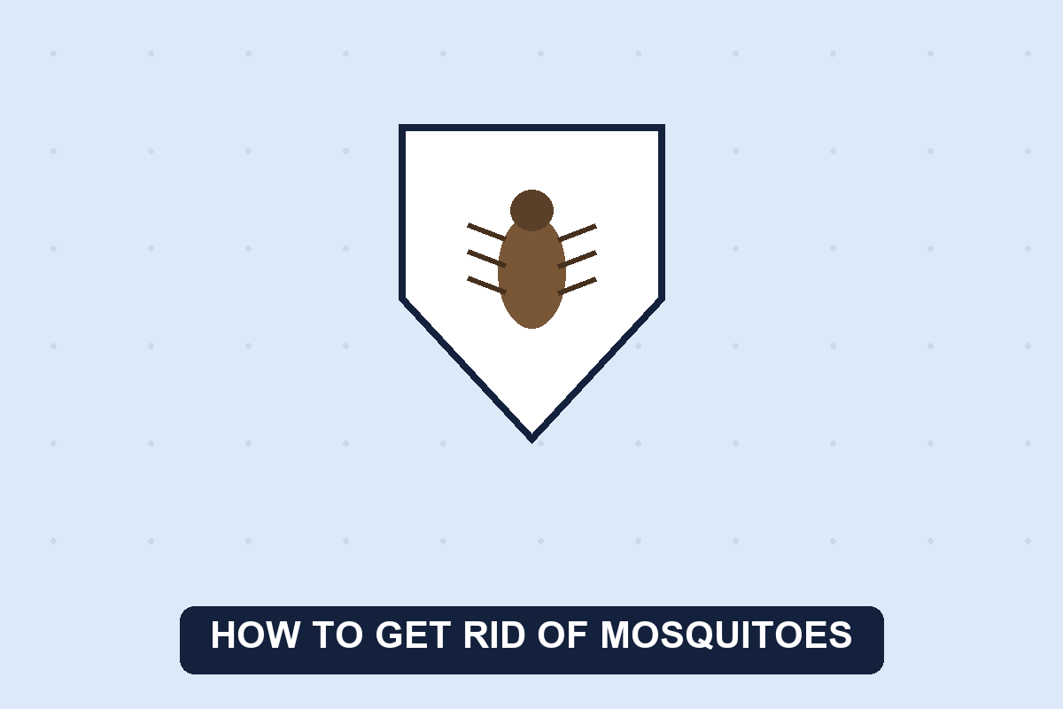 how to get rid of mosquitoes guide illustration