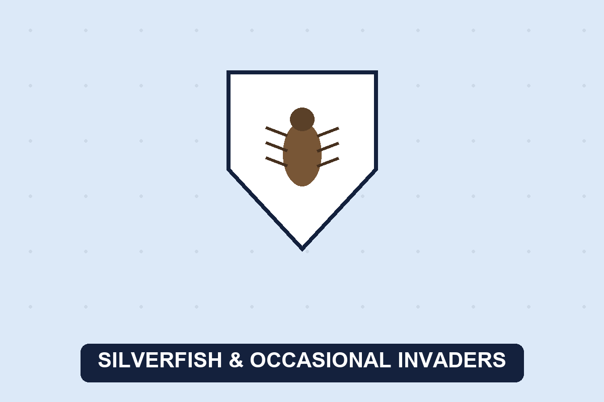 how to get rid of silverfish guide illustration