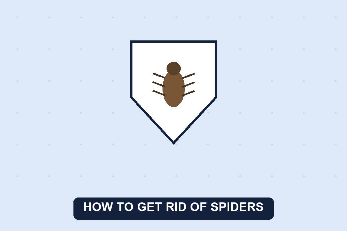 how to get rid of spiders guide illustration