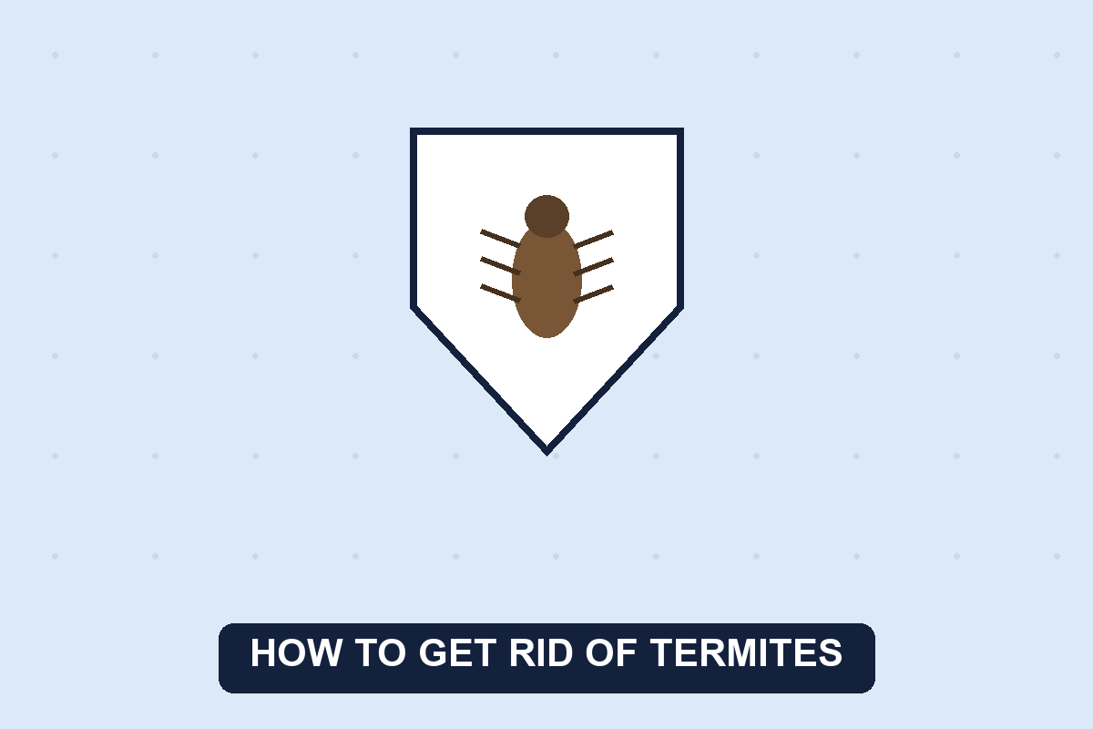 how to get rid of termites guide illustration