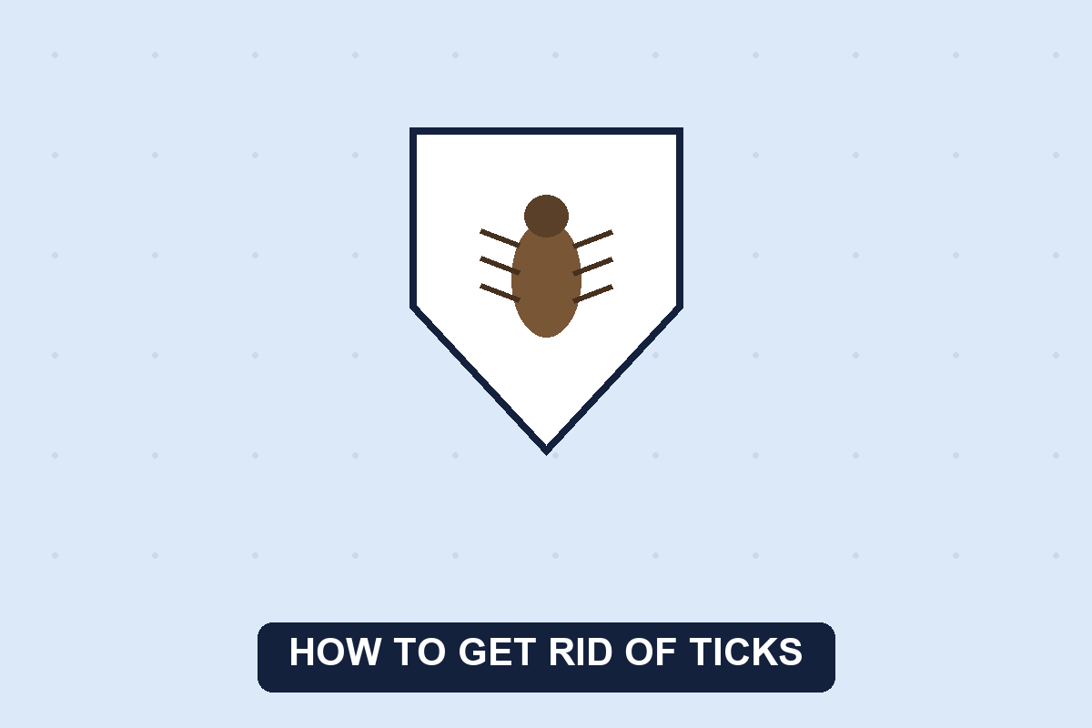 how to get rid of ticks guide illustration