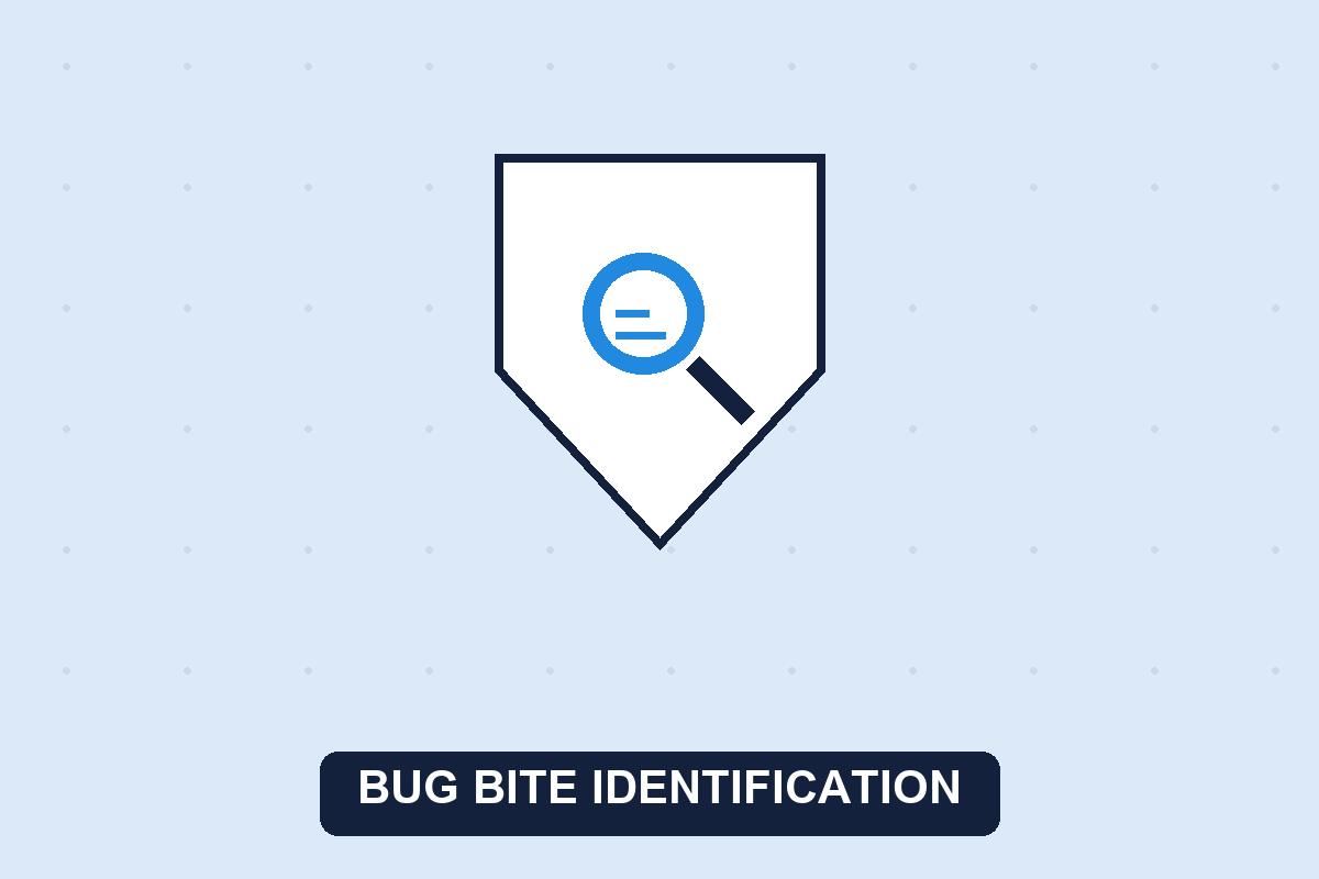 bug bite identification guide illustration