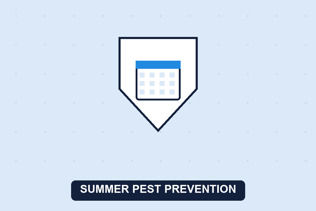 summer pest control guide illustration