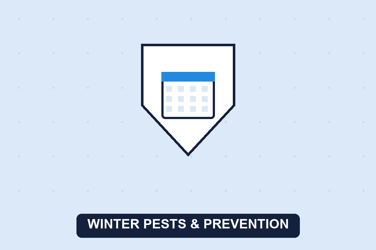 winter pest control guide illustration