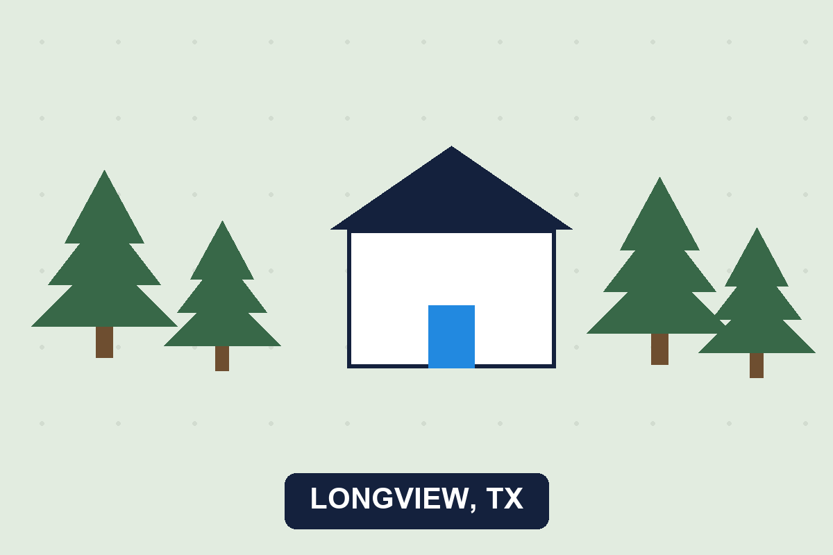 Pest control Longview TX illustration