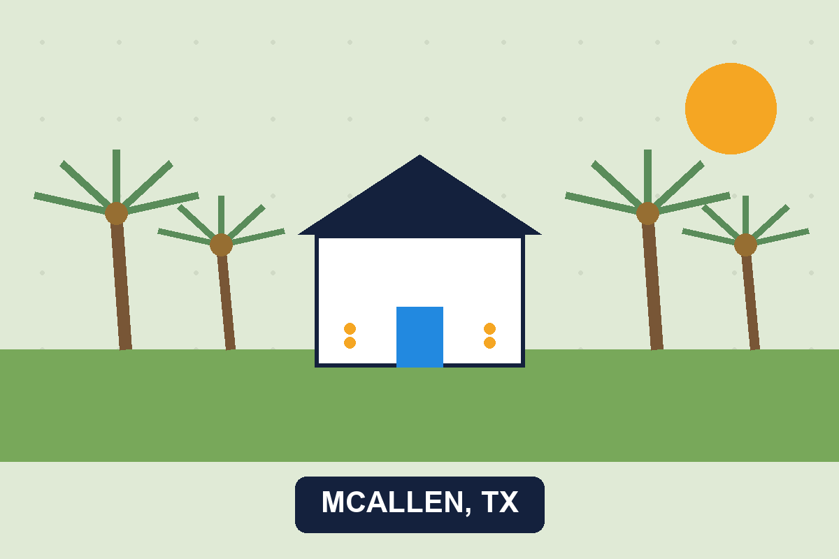 Pest control McAllen TX illustration