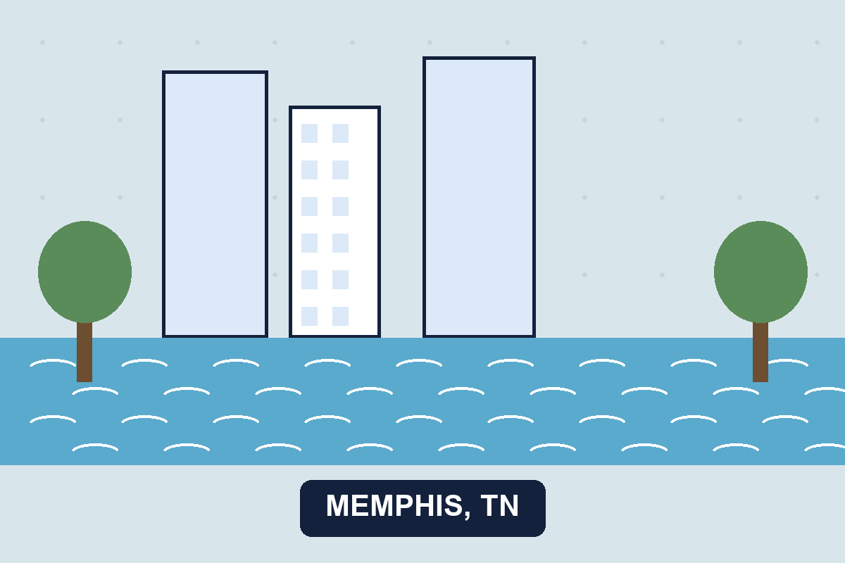 Pest control Memphis TN illustration