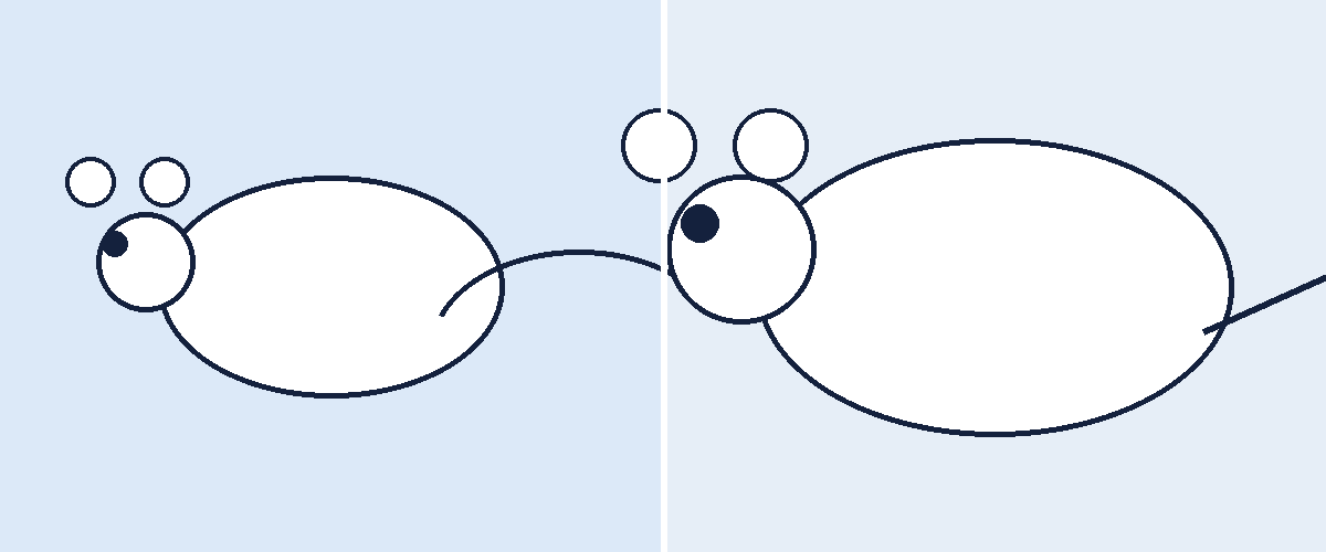 Illustration comparing a mouse and a rat side by side for rodent pest control identification