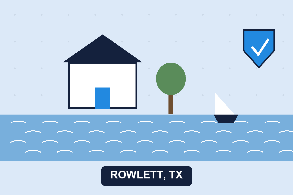 Pest control Rowlett TX illustration
