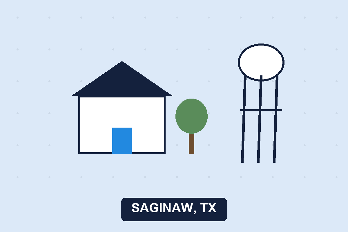 Pest control Saginaw TX illustration