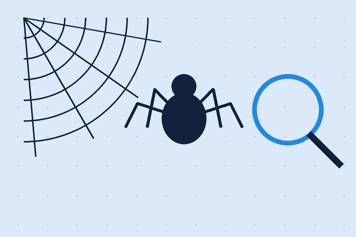 Spider control Dallas TX illustration of a spider web and magnifying glass inspection
