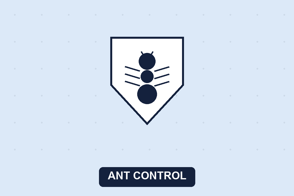 Ant control Dallas TX illustration of an ant on a protective shield