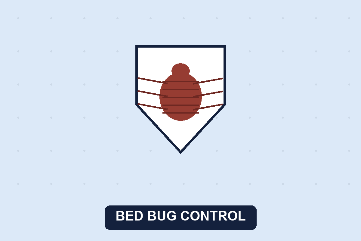 Bed bug control Dallas TX illustration of a bed bug on a protective shield