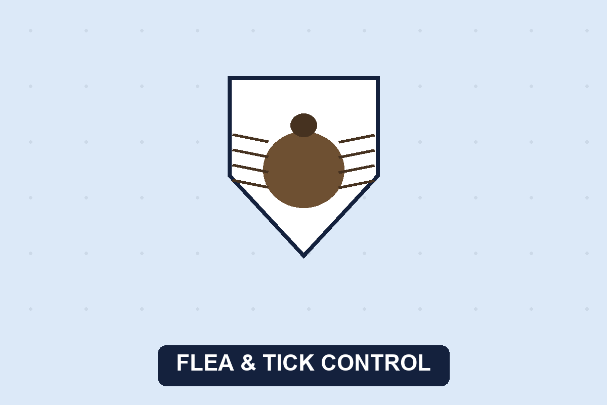 Flea and tick control Dallas TX illustration of a tick on a protective shield