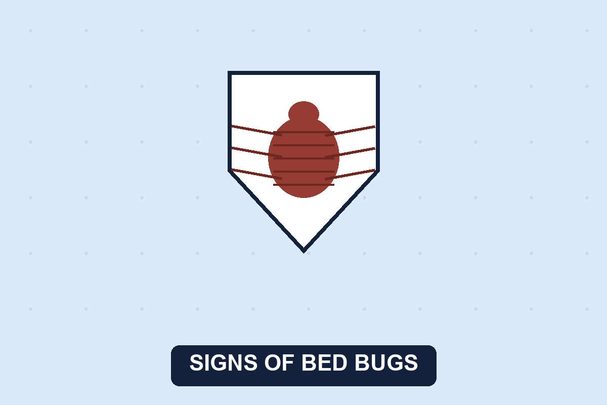 Signs of bed bugs illustration of a bed bug and shield