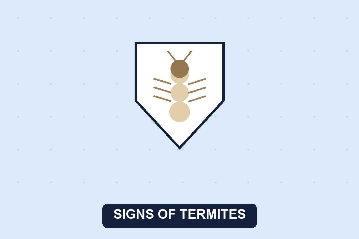 Signs of termites illustration of a termite and shield