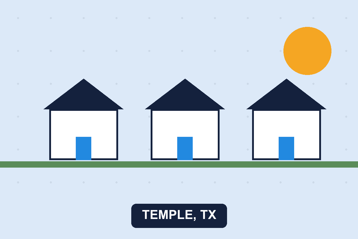 Pest control Temple TX illustration