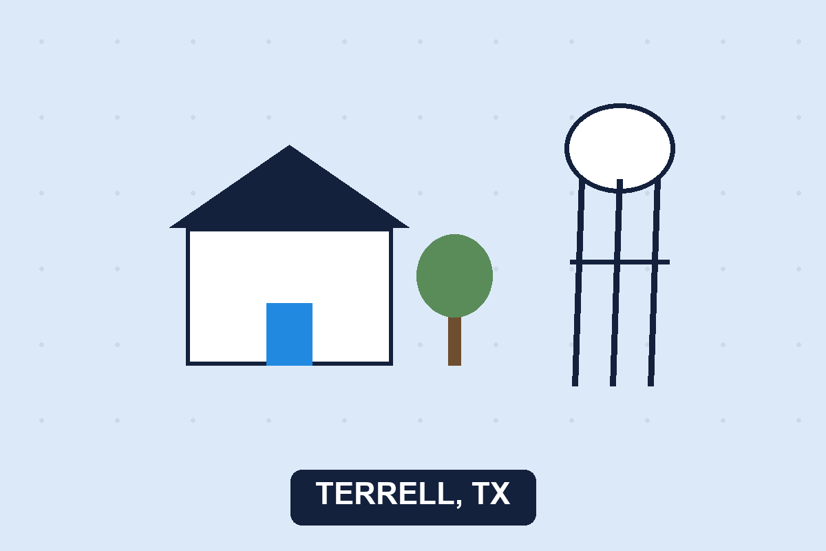 Pest control Terrell TX illustration
