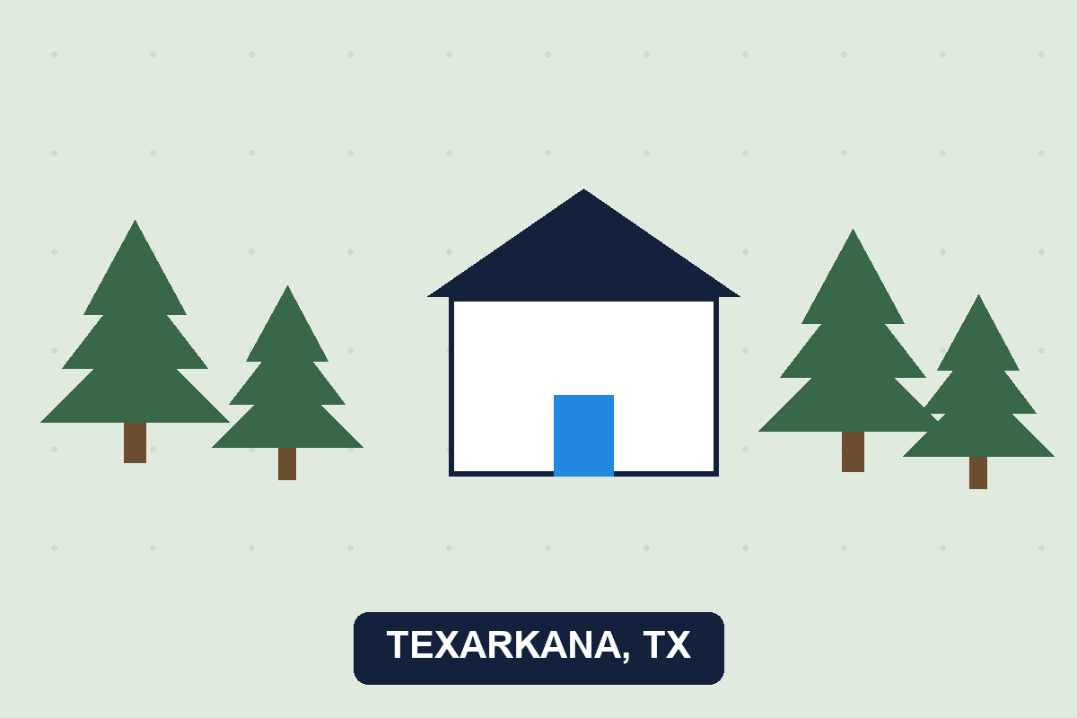 Pest control Texarkana TX illustration