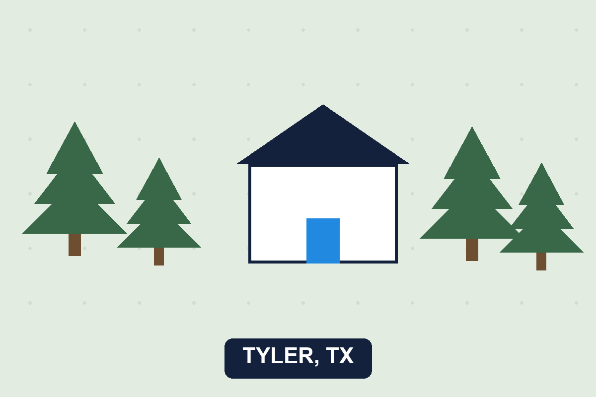 Pest control Tyler TX illustration