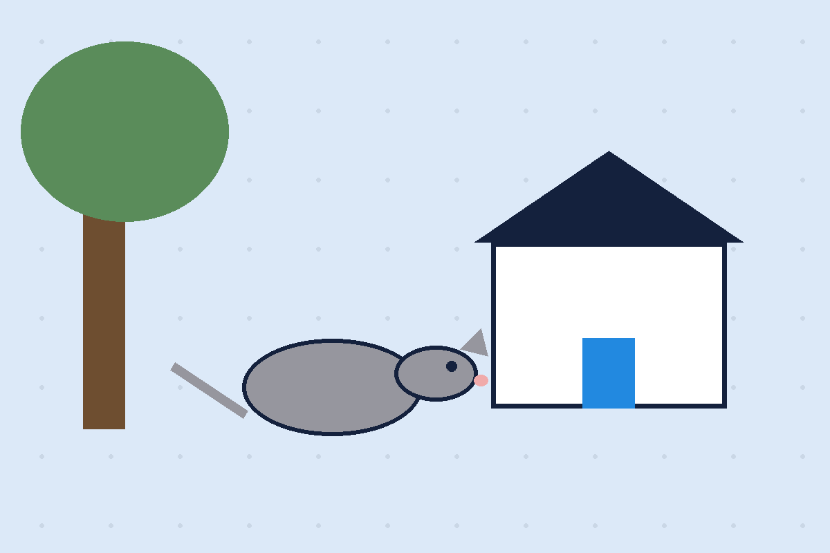 Wildlife and possum pest control Dallas TX illustration of an opossum near a home