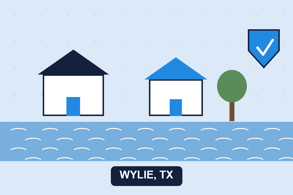 Pest control Wylie TX illustration